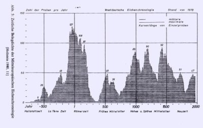 Belegdichte