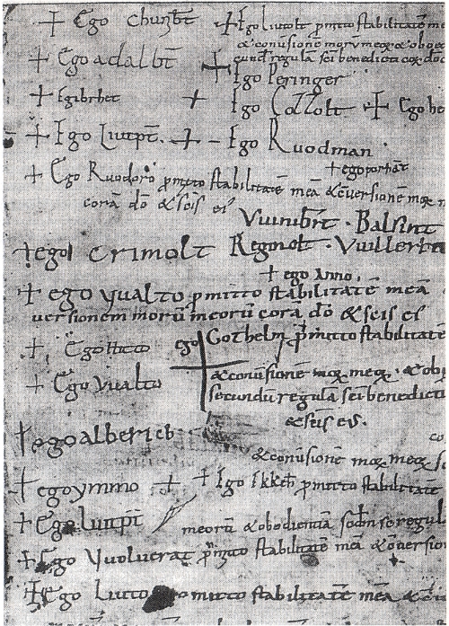 Abb. 3: St. Galler Professbuch, die dort mit 19 nummerierte Seite. Die Mönche haben sich in ihren Autographen höchst unterschiedlich dargestellt.